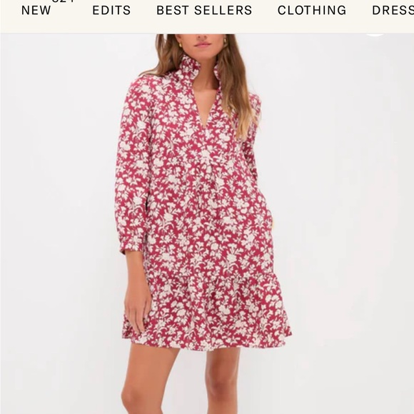 NWT Tuckernuck Dress - Picture 5 of 9